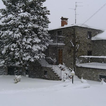 Agriturismo La Casina Caprese Michelangelo Bagian luar foto