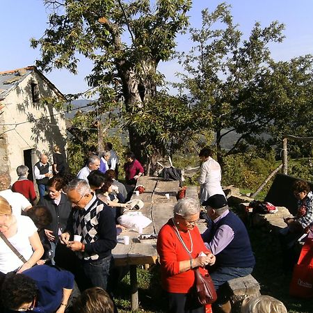 Agriturismo La Casina Caprese Michelangelo Bagian luar foto