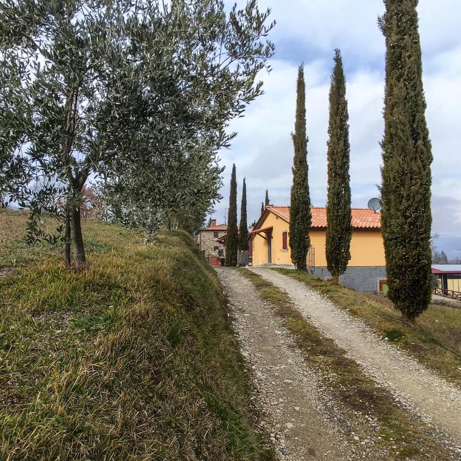 Agriturismo La Casina Caprese Michelangelo Bagian luar foto
